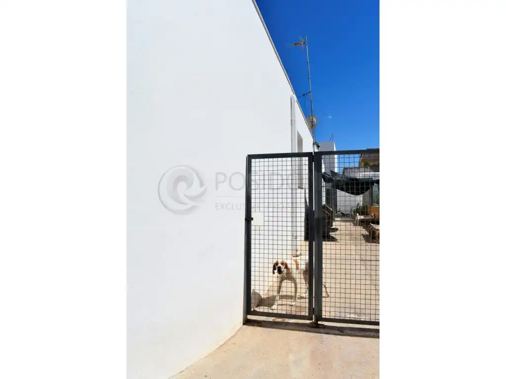 Casa en venda a Calle Hortensies, imagen 22