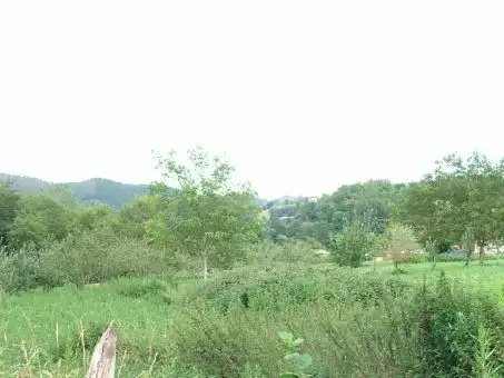 Rustikales Grundstück zum Verkauf in Cangas de Onís
