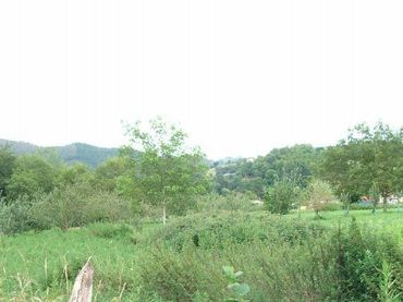 Terreno rustico in vendita a Cangas de Onís
