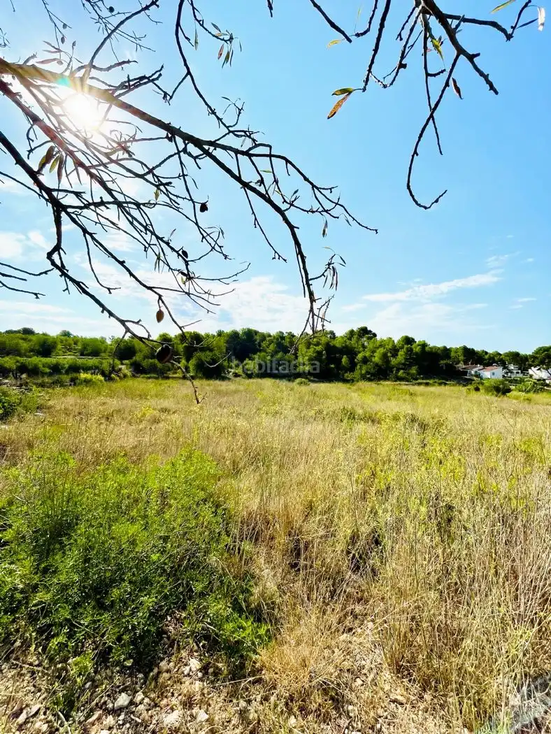 Rural land for sale in Calle Piscina 3305, imagen 2