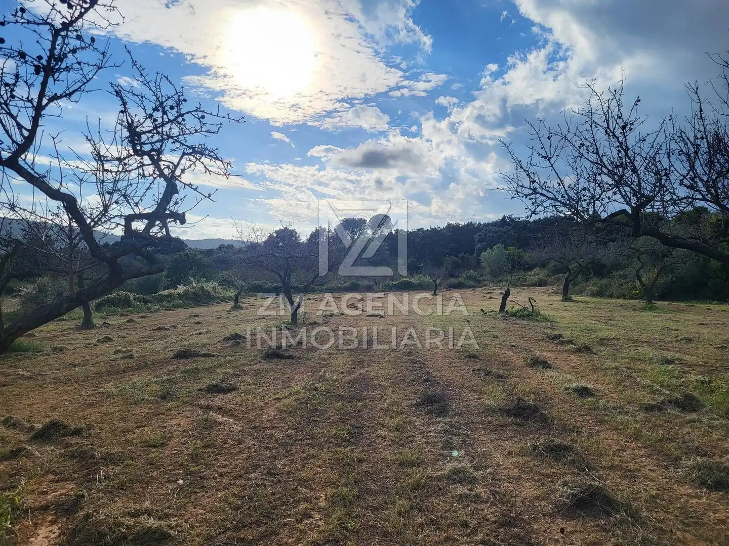 Terreno rustico in vendita a Traiguera, imagen 12