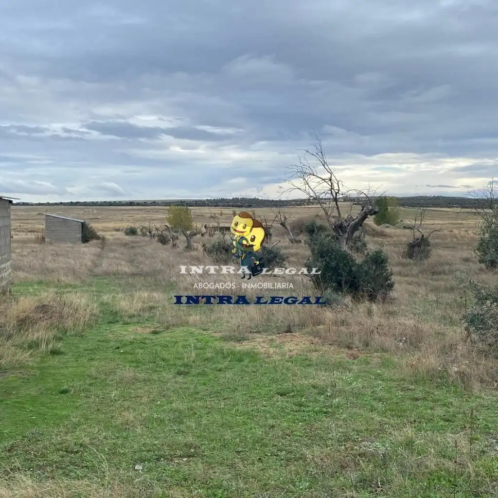 Land for sale in Miranda de Azán