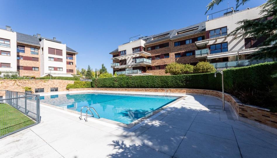 Foto 1 de Pis de lloguer a Zona Monte El Pilar, Madrid