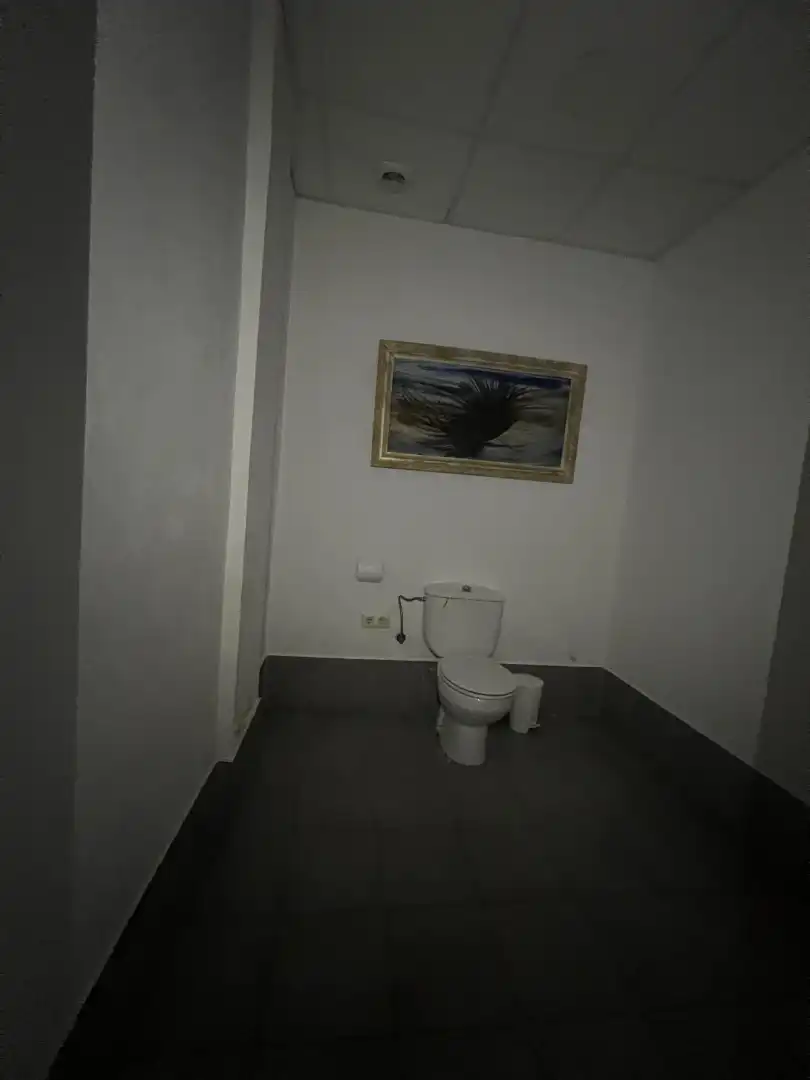 Bathroom of Commercial properties for rent in Sevilla