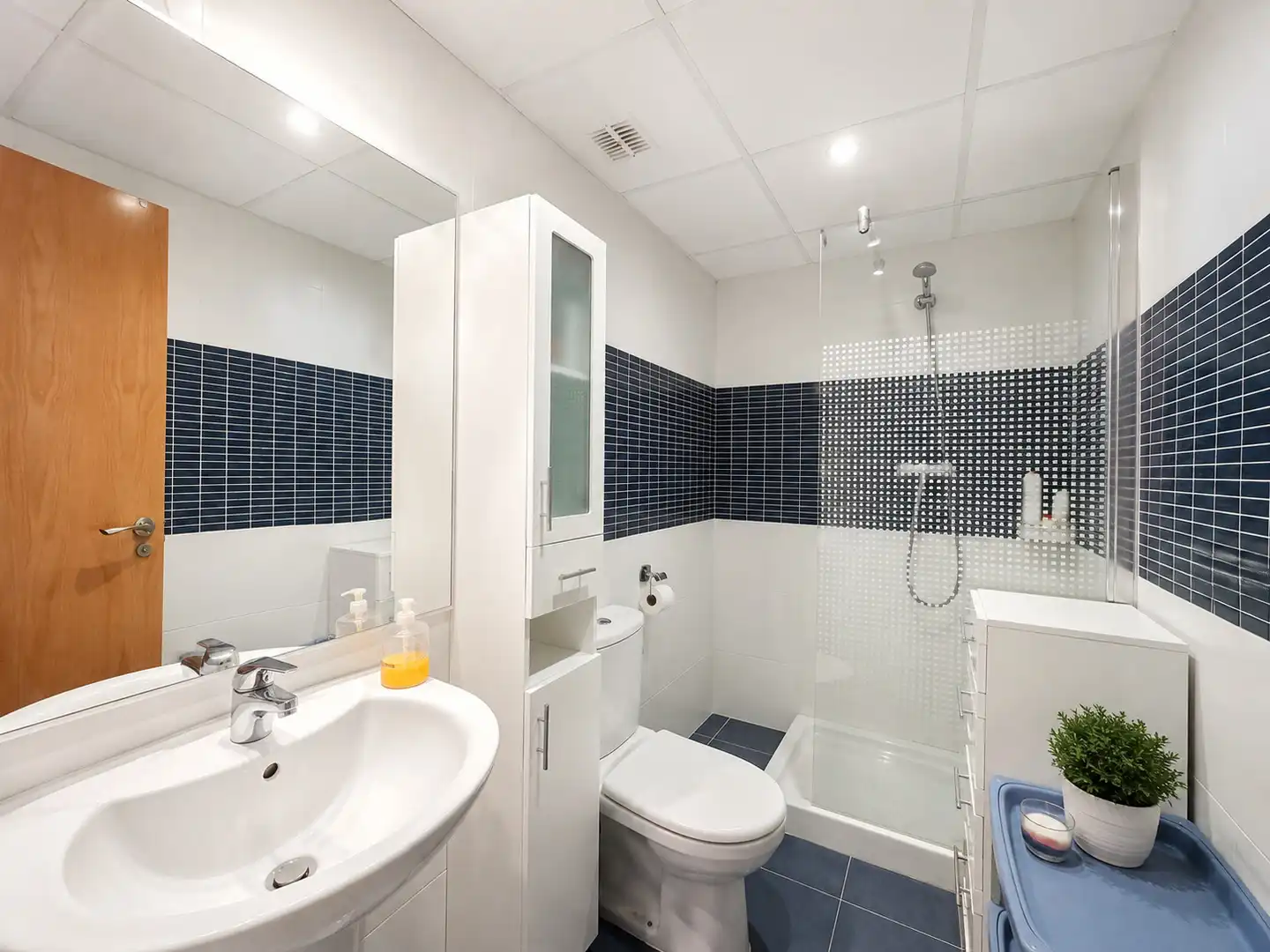 Bathroom of Apartments for sale in Les Salines