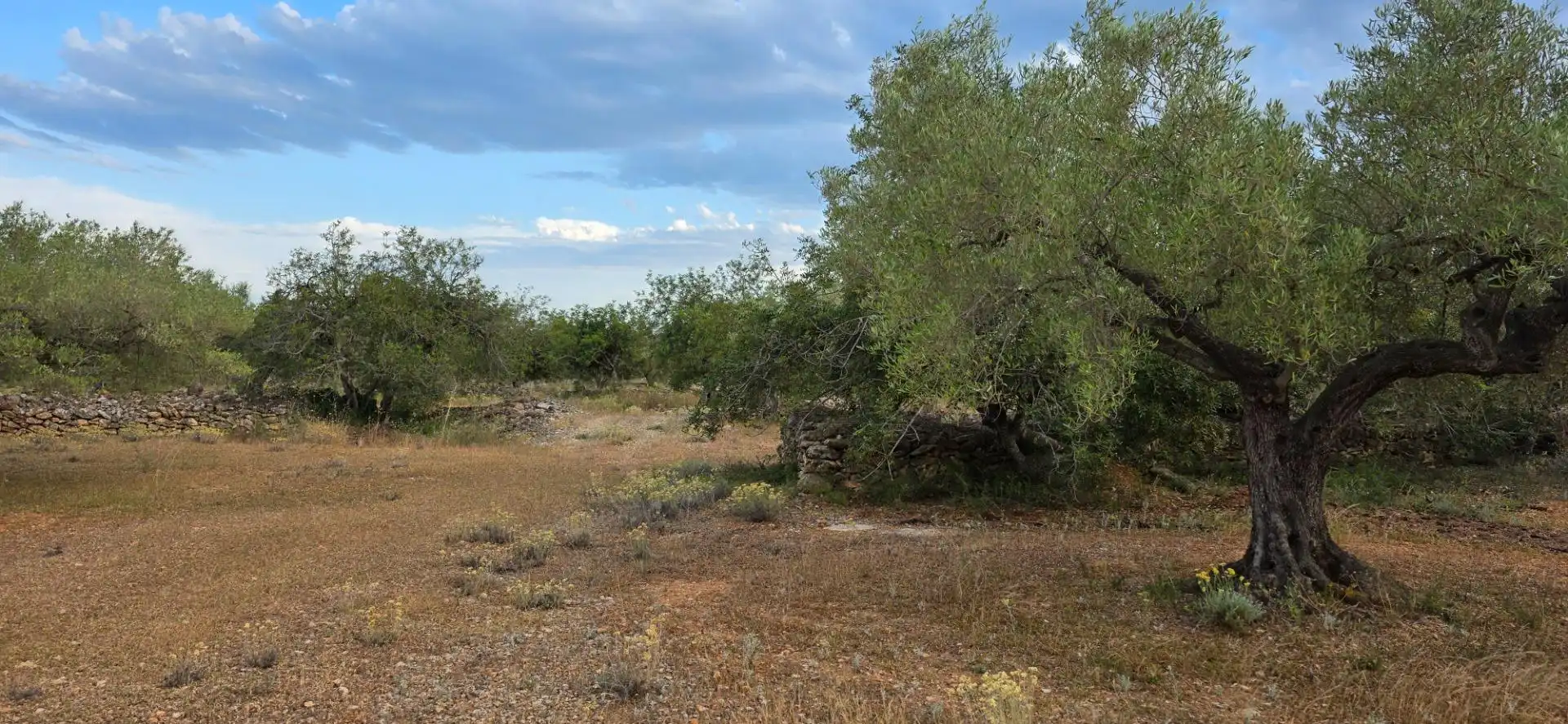 Maison rustique à vendre à L'Ametlla de Mar pueblo, imagen 3