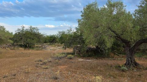 Photo 3 of Country house for sale in L'Ametlla de Mar pueblo, Tarragona