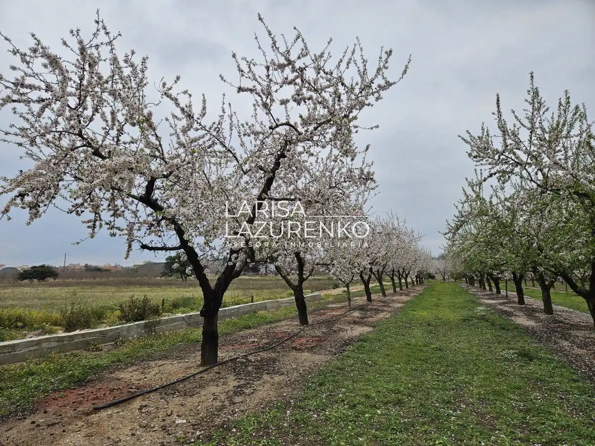 Finca rústica en venda en Riudoms