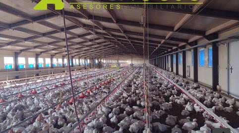 Photo 2 of Industrial buildings for sale in Plaza Caño en Zarcilla Ramos, Zarcilla de Ramos, Murcia