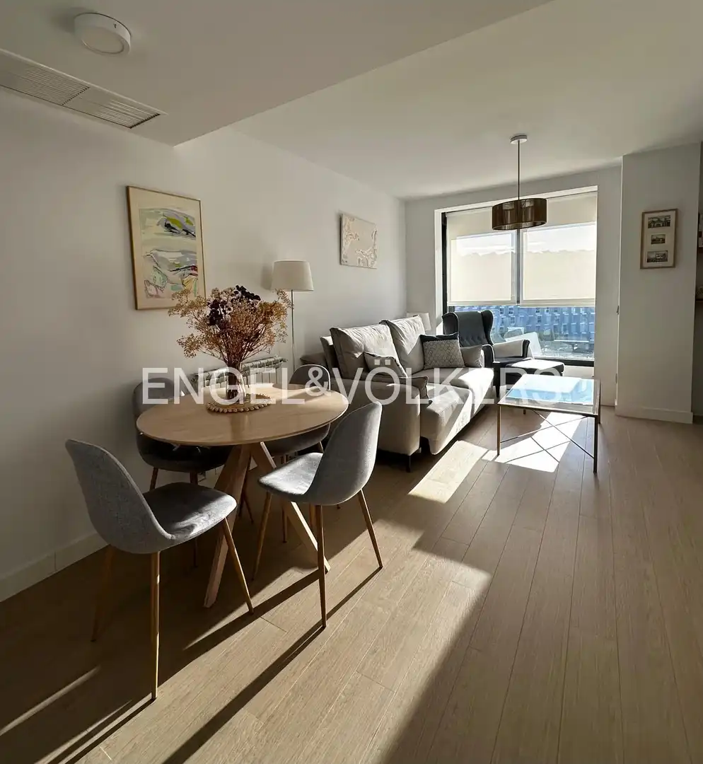 Sala de estar de Piso de alquiler en Madrid con Aire acondicionado, Calefacción y Jardín privado