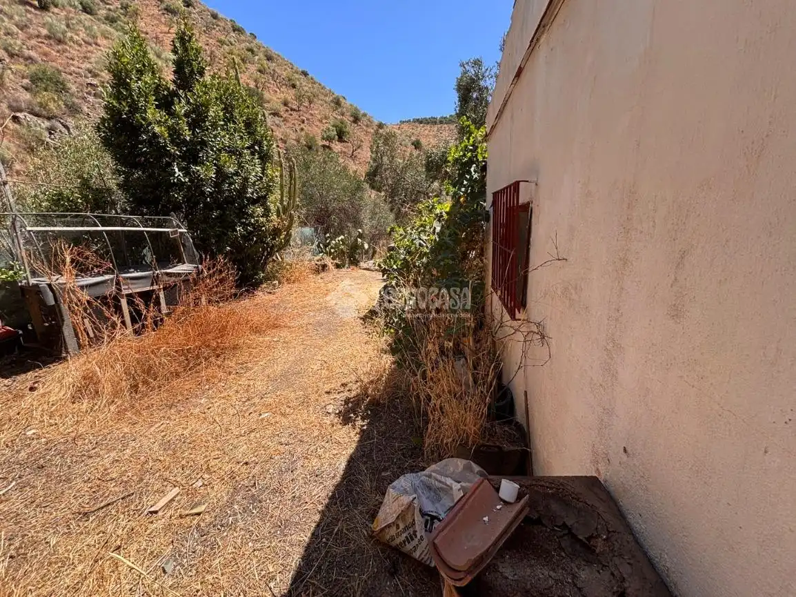 Rustikales Grundstück zum Verkauf in Quart de Poblet, imagen 9