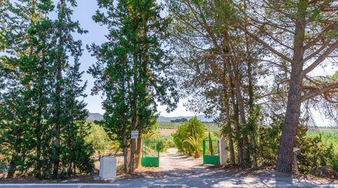 Finca con luz, agua y certificado urbanístico en Tíjola, immagine 3
