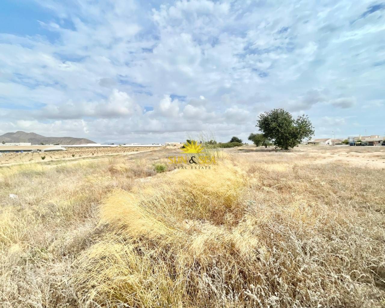 Residencial en venda en Torre-Pacheco