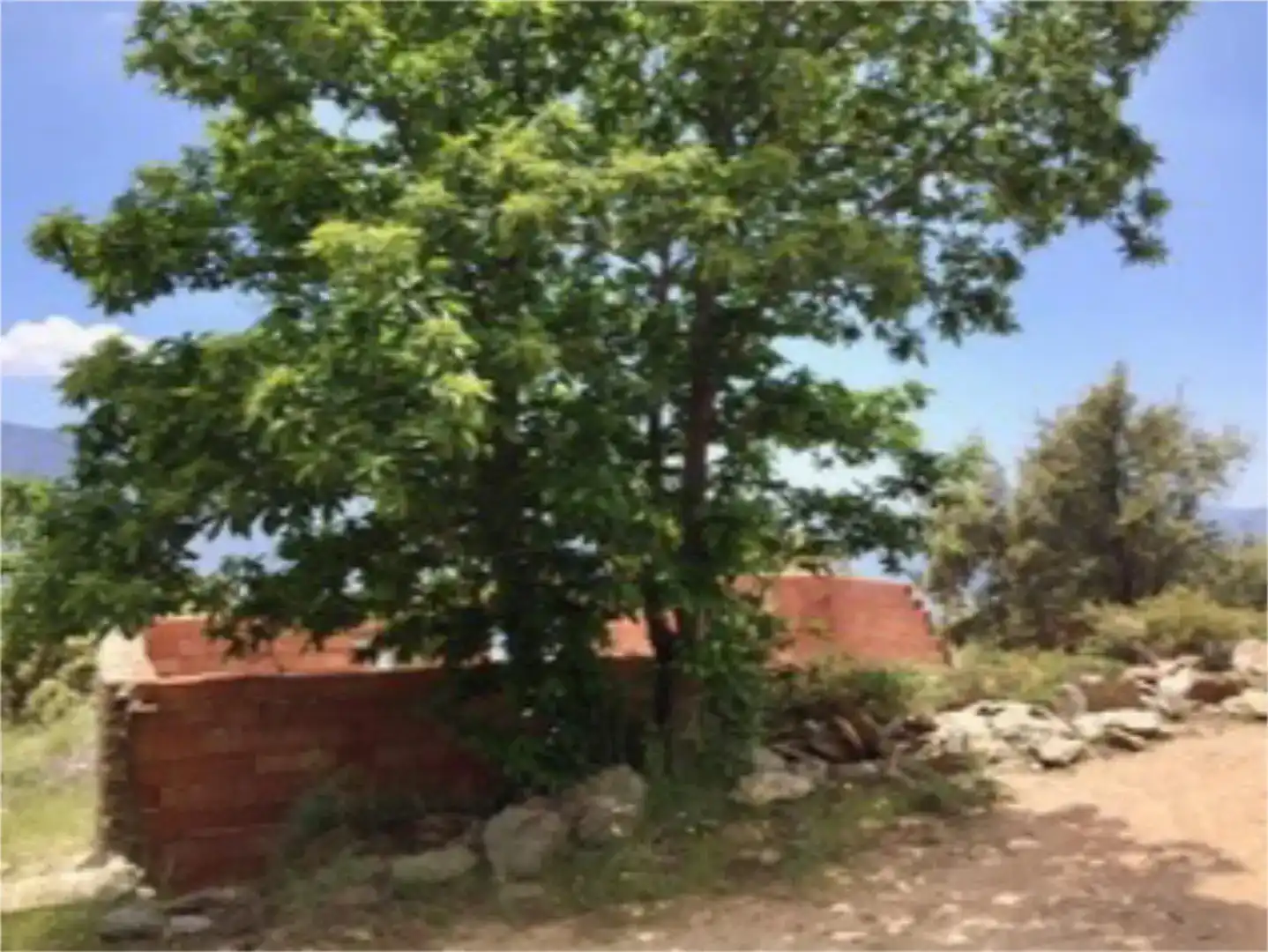 Terreno en venta en Cáñar