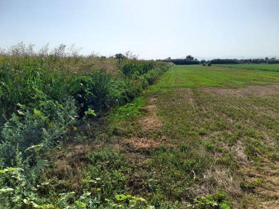 Terreno en Venta en de la rubina en Puigmal - Mas Nou