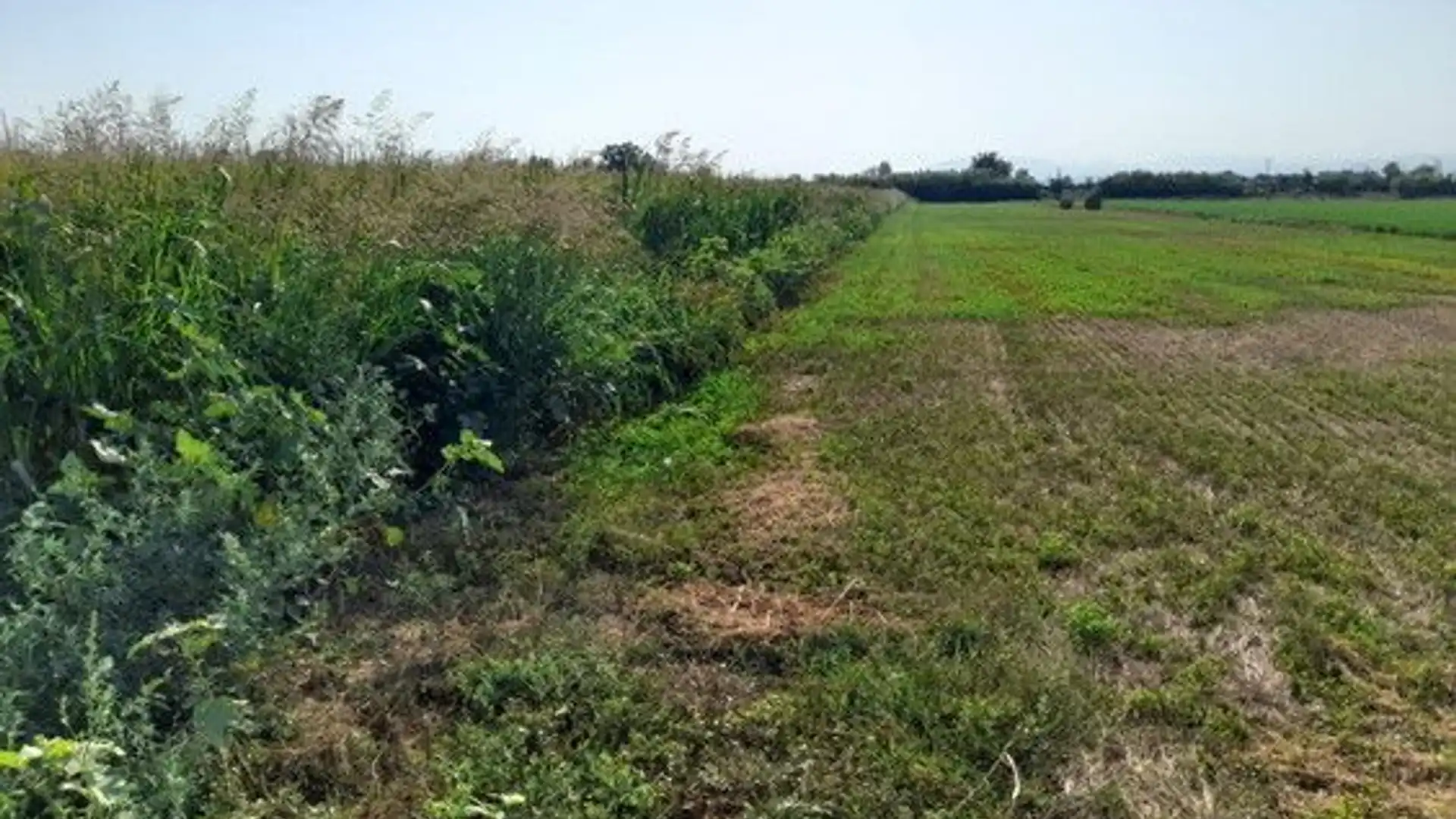 Terreno en venta en Empuriabrava