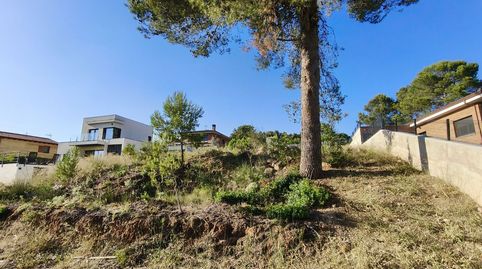 BEGUES BARCELONETA, imagen 5