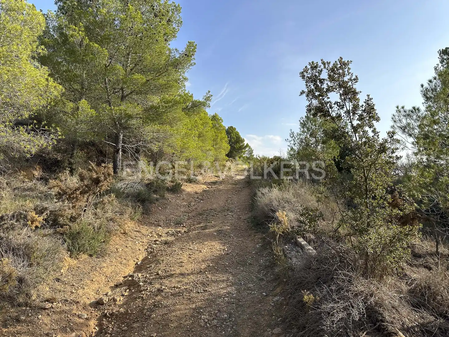 Residential land for sale in Torrelles de Foix, imagen 4