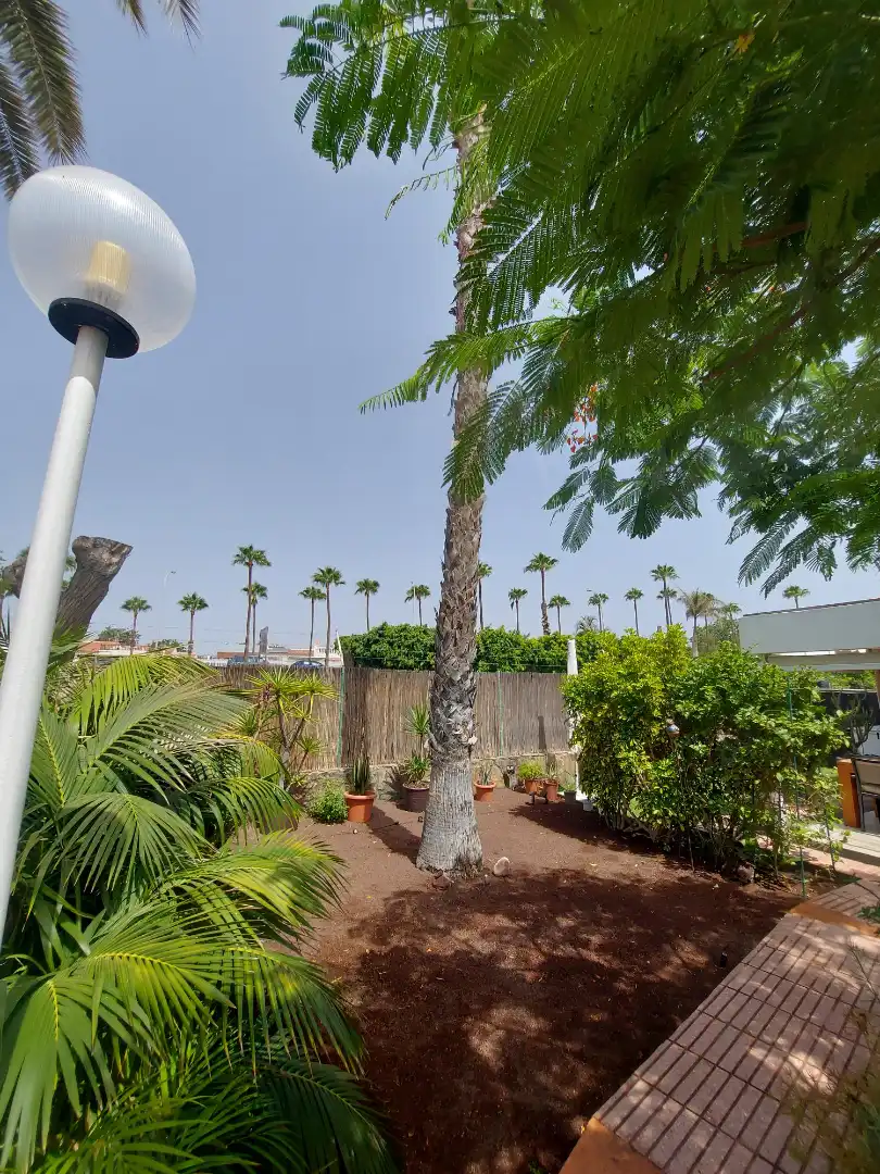 Casa o xalet en venda a Avenida Touroperador Tjaereborg, 59, Maspalomas - Meloneras