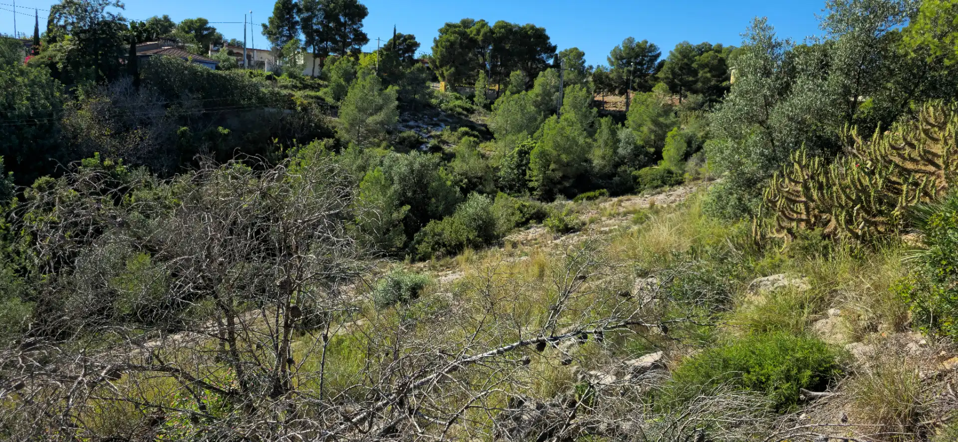 Wohnbaugrundstück zum Verkauf in Calle C/2 Lloma Molina 31, imagen 13