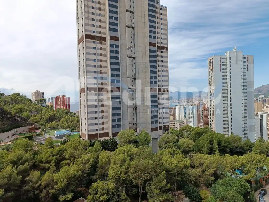 Appartamento con giardino in affitto a Avenida Montecarlo, imagen 3