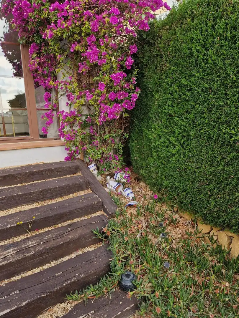 Casa a schiera con piscina in vendita a Golf Bahía, imagen 21