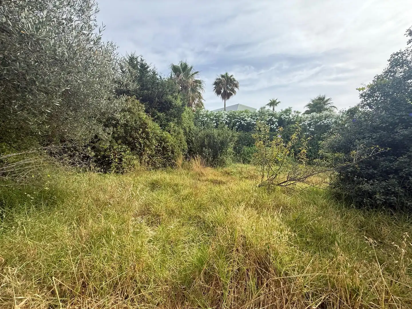 Terreni e lotti in vendita a Benamara - Atalaya