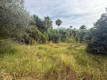 Terreni e lotti in vendita a Benamara - Atalaya