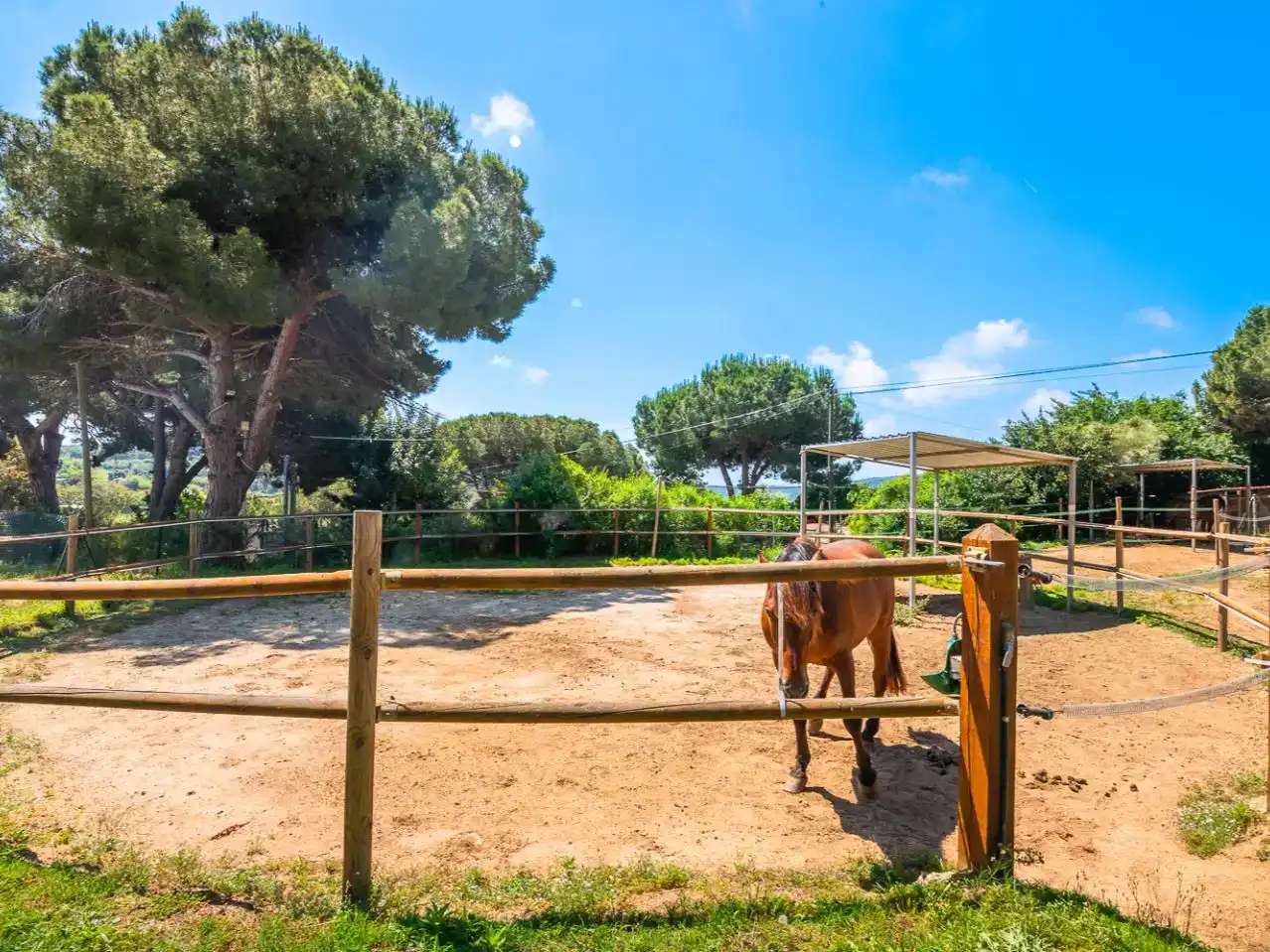 Vista exterior de Planta baixa en venda en Argentona amb Aire condicionat, Terrassa i Piscina