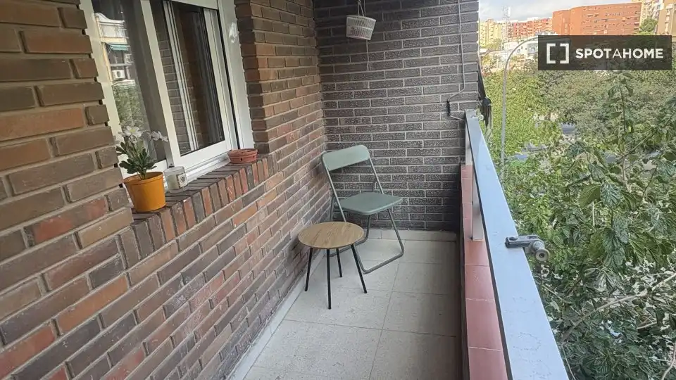 Room in Alipark