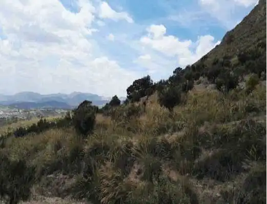 Terreno rustico in vendita a Paraje La Zarza, imagen 7