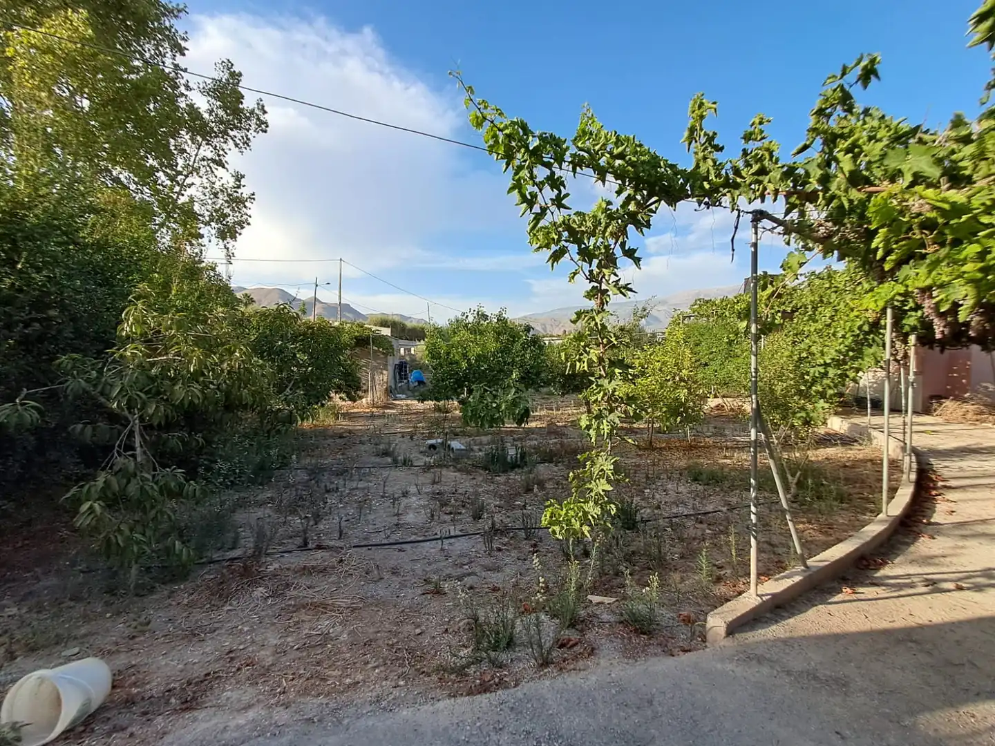 Finca rústica en venta en Berja