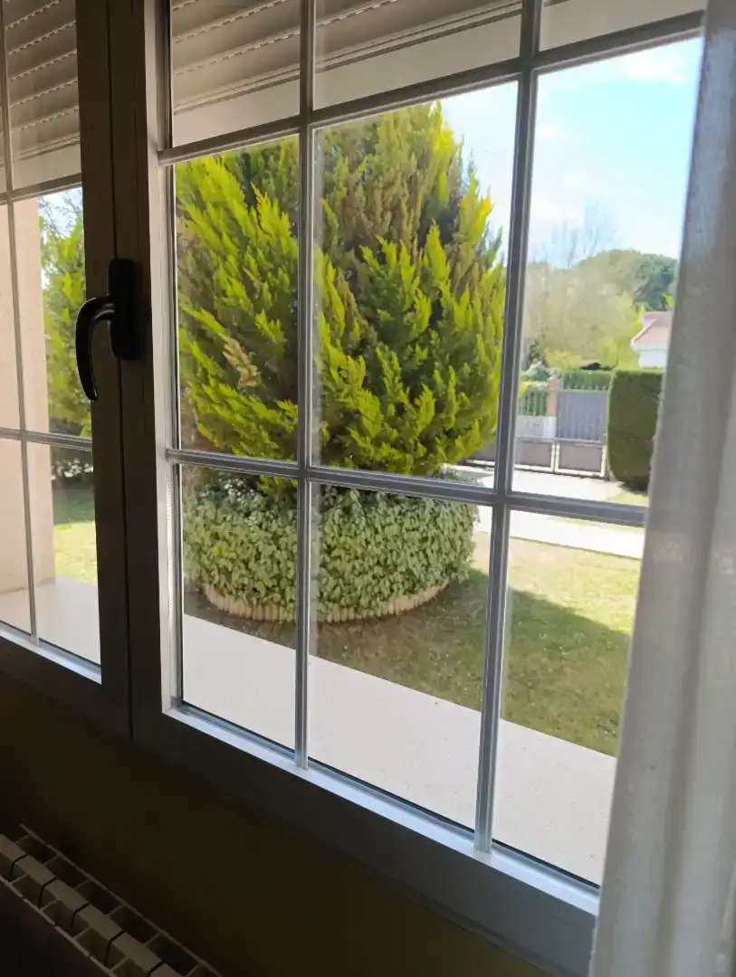 Jardí de Casa o xalet en venda en Valladolid Capital amb Piscina i Balcó