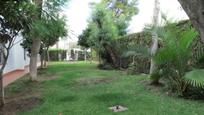 Jardí de Casa o xalet en venda en  Huelva Capital amb Aire condicionat, Calefacció i Jardí privat