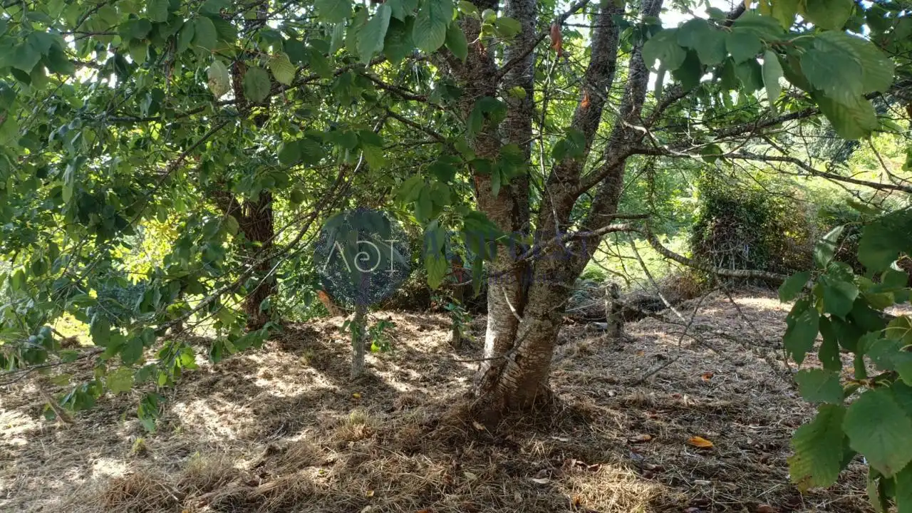 House with garden for sale in Gondomar, imagen 5