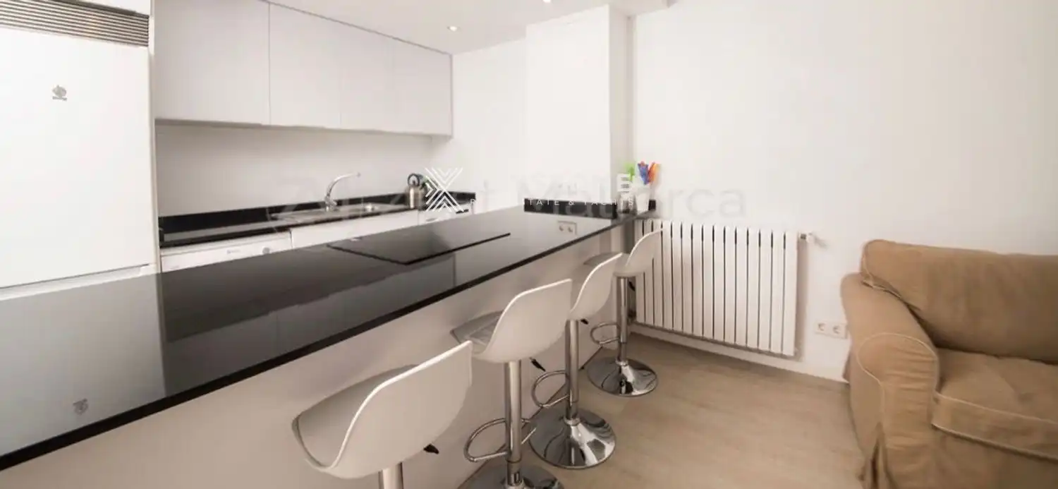 Kitchen of Flat for rent in Calvià  with Air Conditioner, Terrace and Swimming Pool