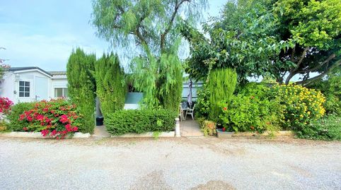 Foto 4 de Casa o xalet de lloguer a Carrera del Riu, 558, Pinedo, Valencia Capital