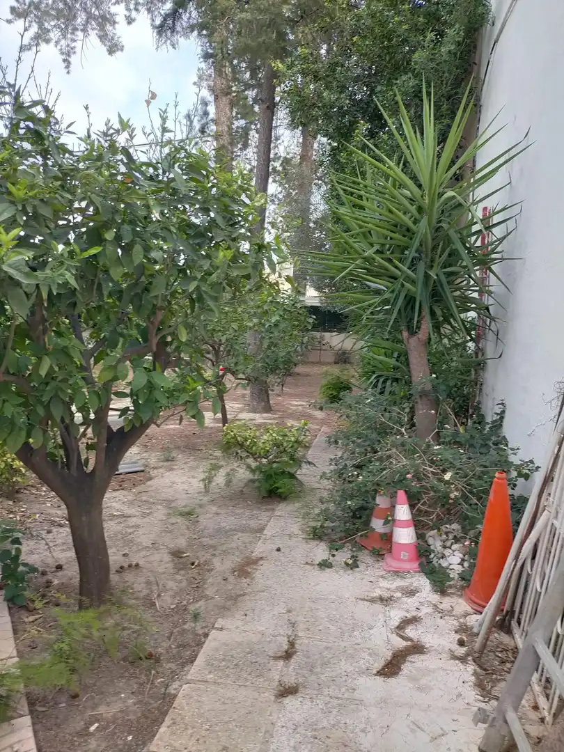 Casa amb jardí en venda a GARCÍA ROGEL, imagen 31