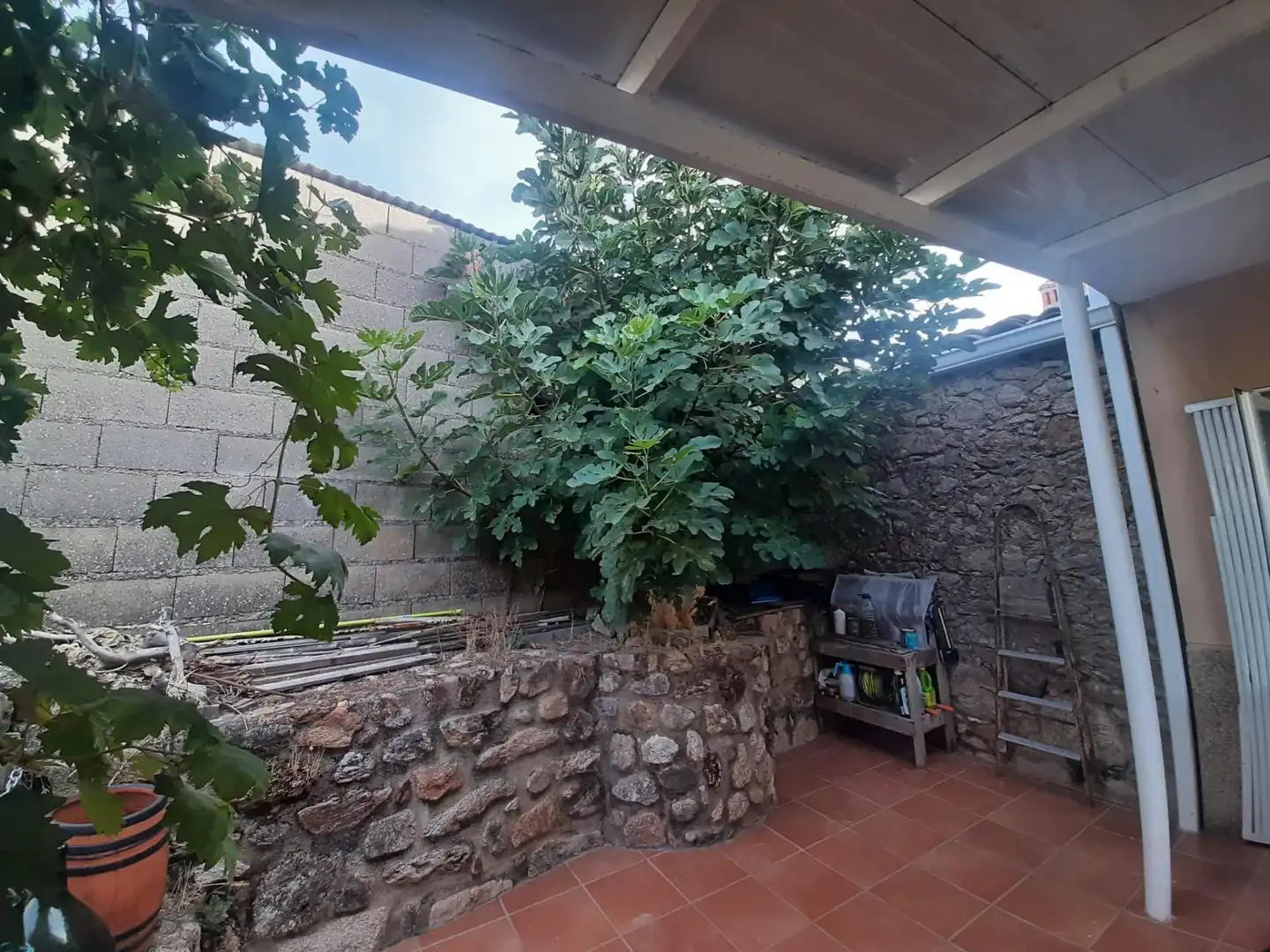Jardín de Casa o chalet en venta en Torre de Santa María con Terraza