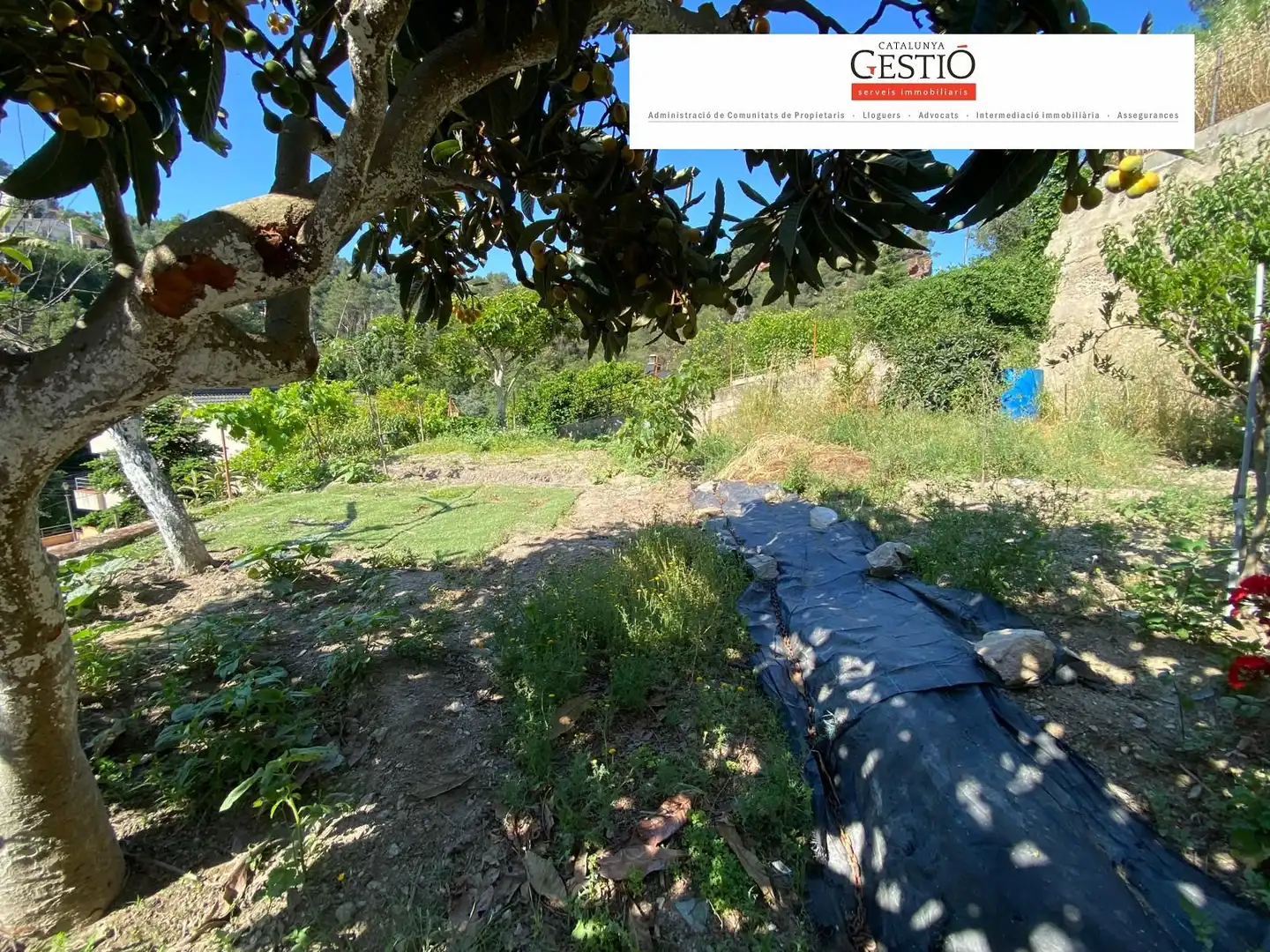 Casa o xalet en venda a Carretera del Bonrepòs, Corbera de Llobregat