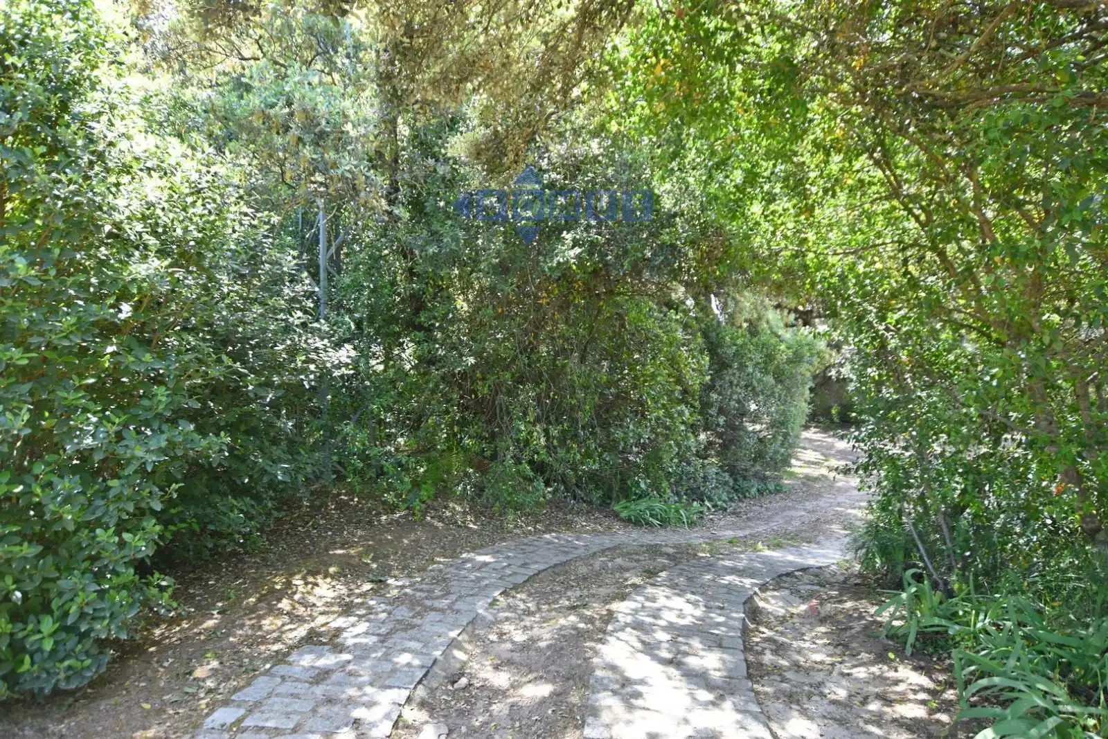Jardín de Finca rústica en venta en Ronda con Aire acondicionado, Trastero y Piscina
