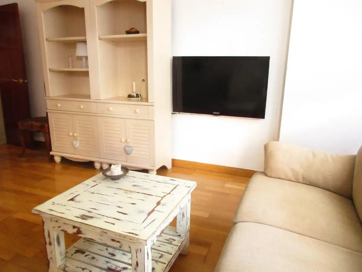 Sala d'estar de Pis de lloguer en Madrid amb Aire condicionat, Calefacció i Terrassa