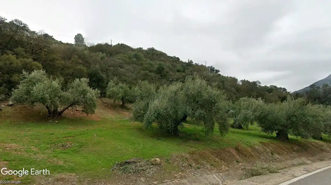 Terreny rústic en venda a Martos, imagen 4