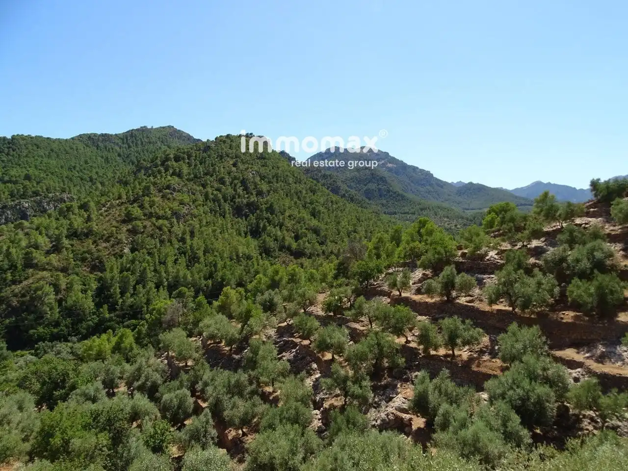 Villa à vendre à Paüls, imagen 14