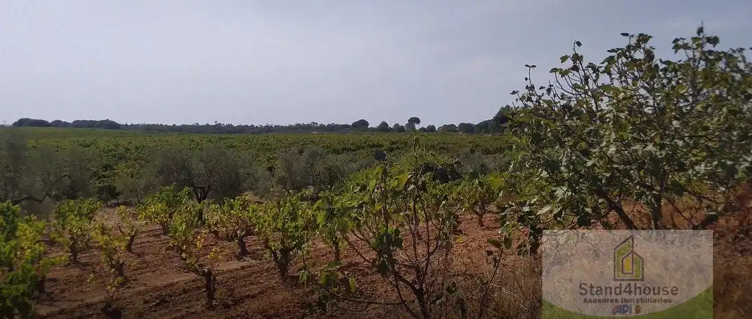 Finca rústica en venda a Villarrasa