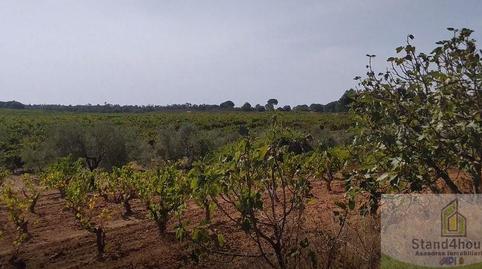 Foto 2 de Residencial en venda a Villarrasa, Huelva