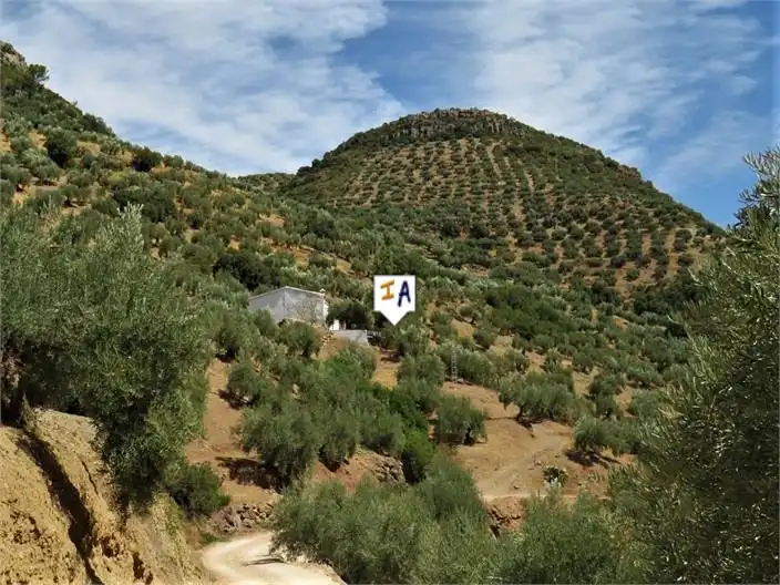 Finca rústica en venda a Fuensanta de Martos