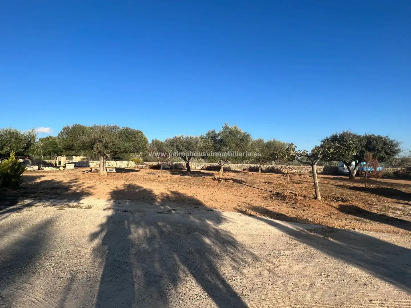 Terreny residencial en venda a Maria de la Salut, imagen 43