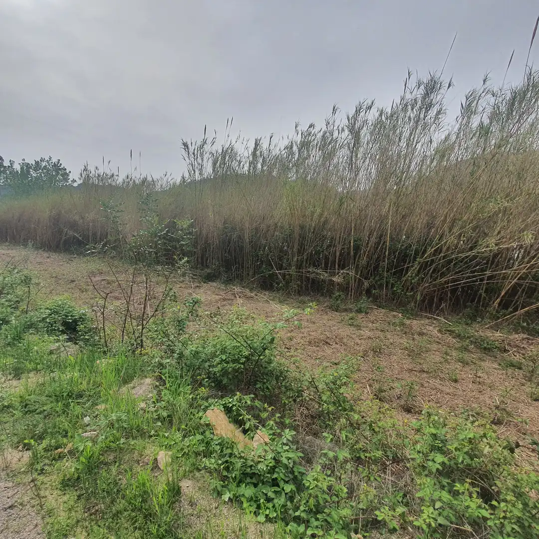 Terreno rústico en venta en Benifallet, imagen 16