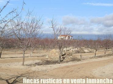 Terreno rustico in vendita a Mora